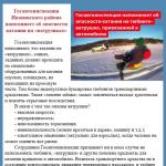 Фотодокумент 