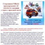Фотодокумент 
